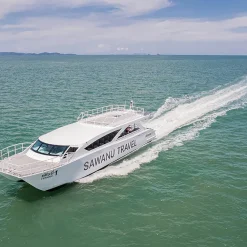Power Catamaran 4-Engine Boats - Image 7