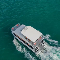 Power Catamaran 2-Engine Boats