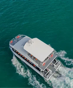 Power Catamaran 2-Engine Boats