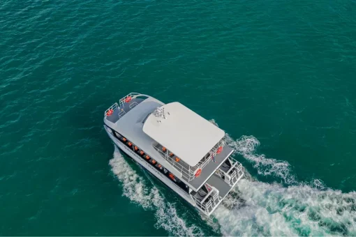 Power Catamaran 2-Engine Boats