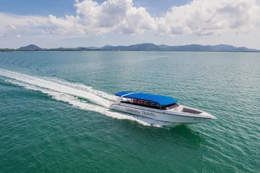 Speedboat- 3 Engine Boats - Image 2