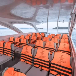 Alternative view of Power Catamaran  2-Engine Boats