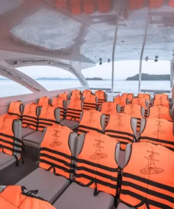 Alternative view of Power Catamaran  2-Engine Boats