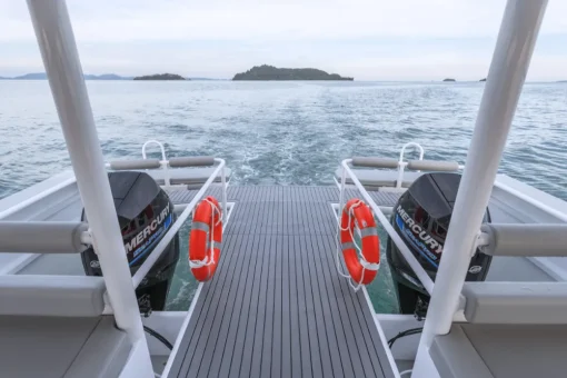Power Catamaran  2-Engine Boats - Image 3