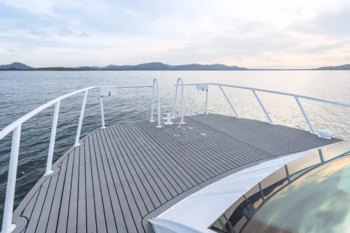 Power Catamaran  2-Engine Boats - Image 4
