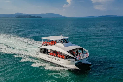 Catamaran 4-Engine Boats (2-Floors) - Image 7