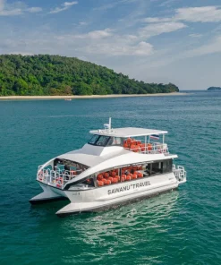 Alternative view of Catamaran 4-Engine Boats (2-Floors)