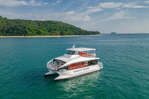Catamaran 4-Engine Boats (2-Floors) - Image 2