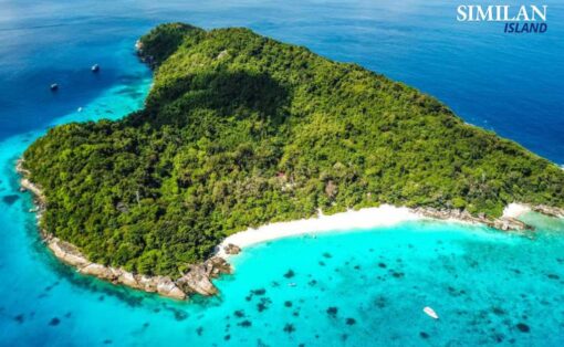 Similan Island Tour Premium Speed Catamaran - Image 2