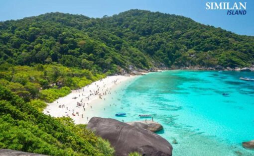 Similan Island Tour Premium Speed Catamaran - Image 3