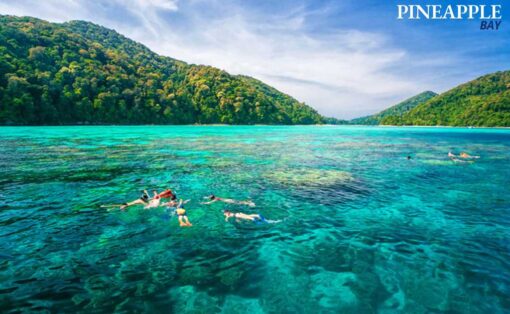 Surin Islands One Day Trip by Speed Catamaran - Image 4