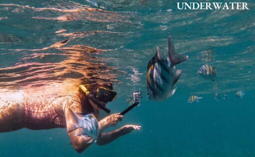 Similan Island Tour Premium Speed Catamaran - Image 6