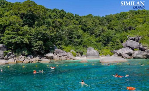 Similan Island Tour Premium Speed Catamaran - Image 7