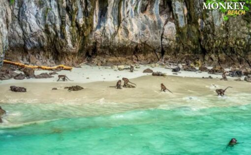 Phi Phi Island VIP by Speed Boat - Image 5