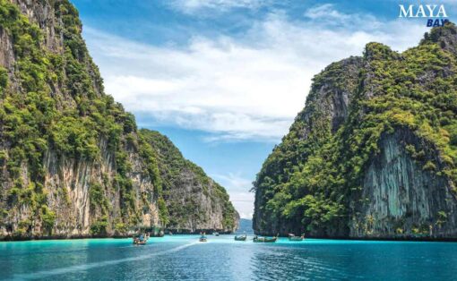 maya bay